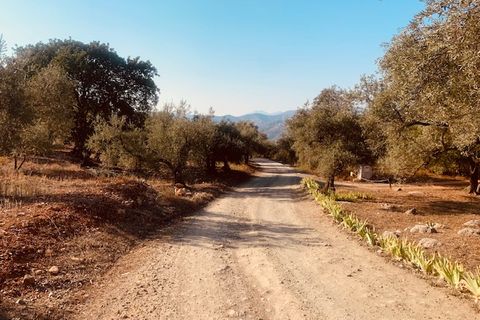 Helårsgrund i Comares, Malaga, Comares - € 25.000 | Ref: ID3898 - foto 10
